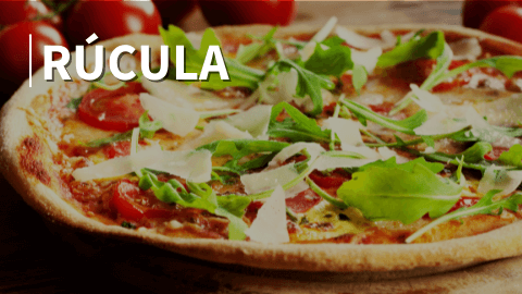 rucula